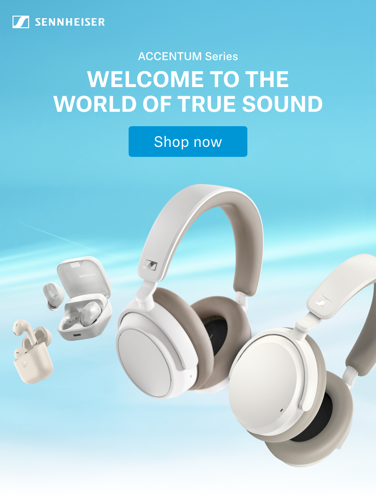 ACCENTUM Series: Welcome to the world of true sound